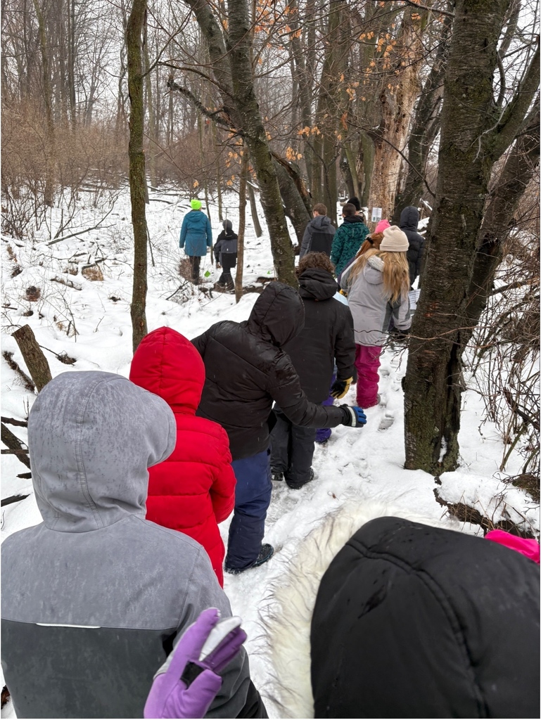 6EEEE3E6-DD1D-45B9-ADDF-8DE0FF92711C