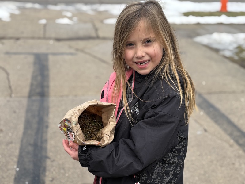 Día de Los Reyes celebración