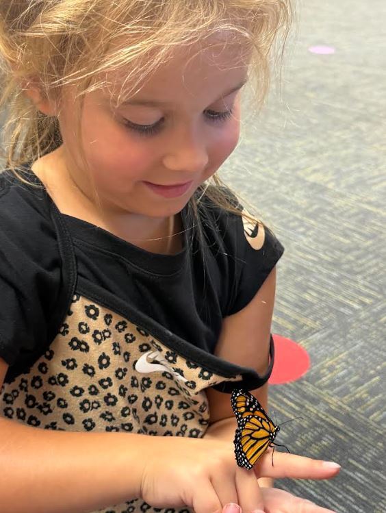 Mrs. Connors Kindergarten Class - Butterfly