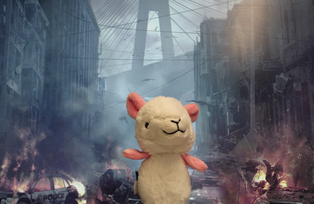 Llama and the apocolypse