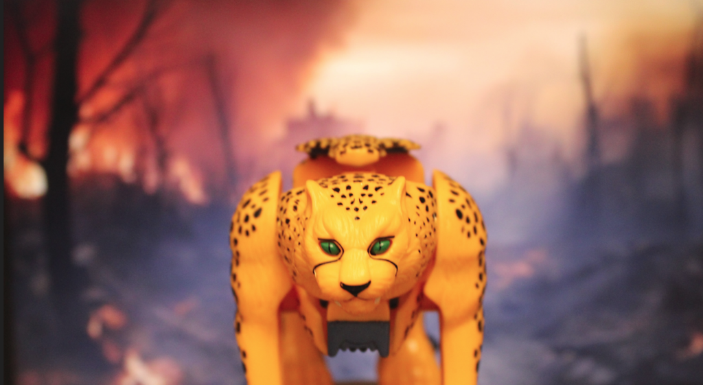 Siberian Tiger