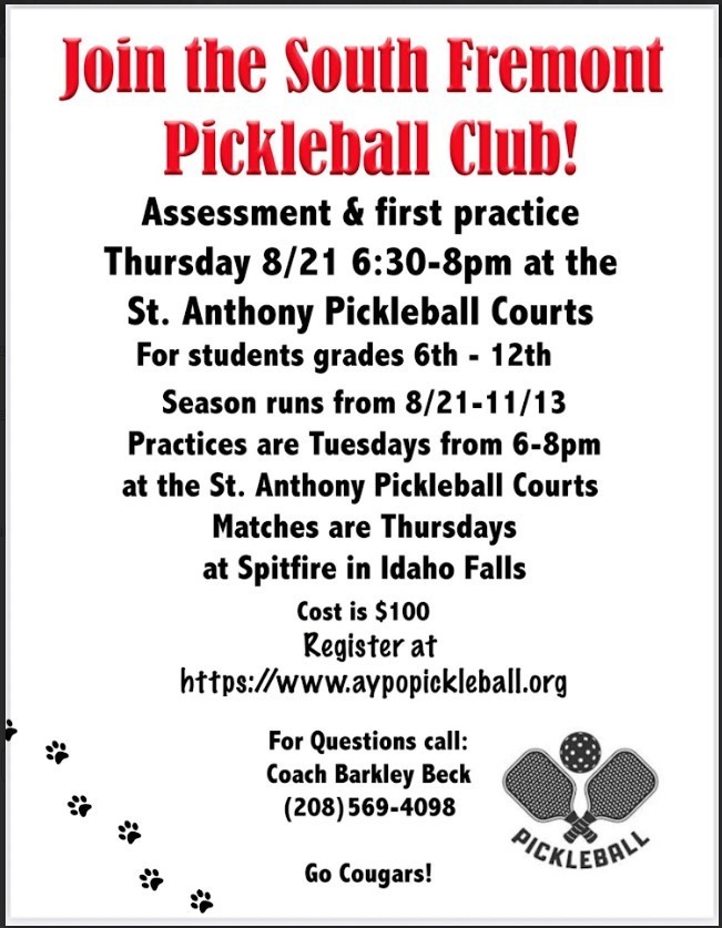 Pickle Ball 