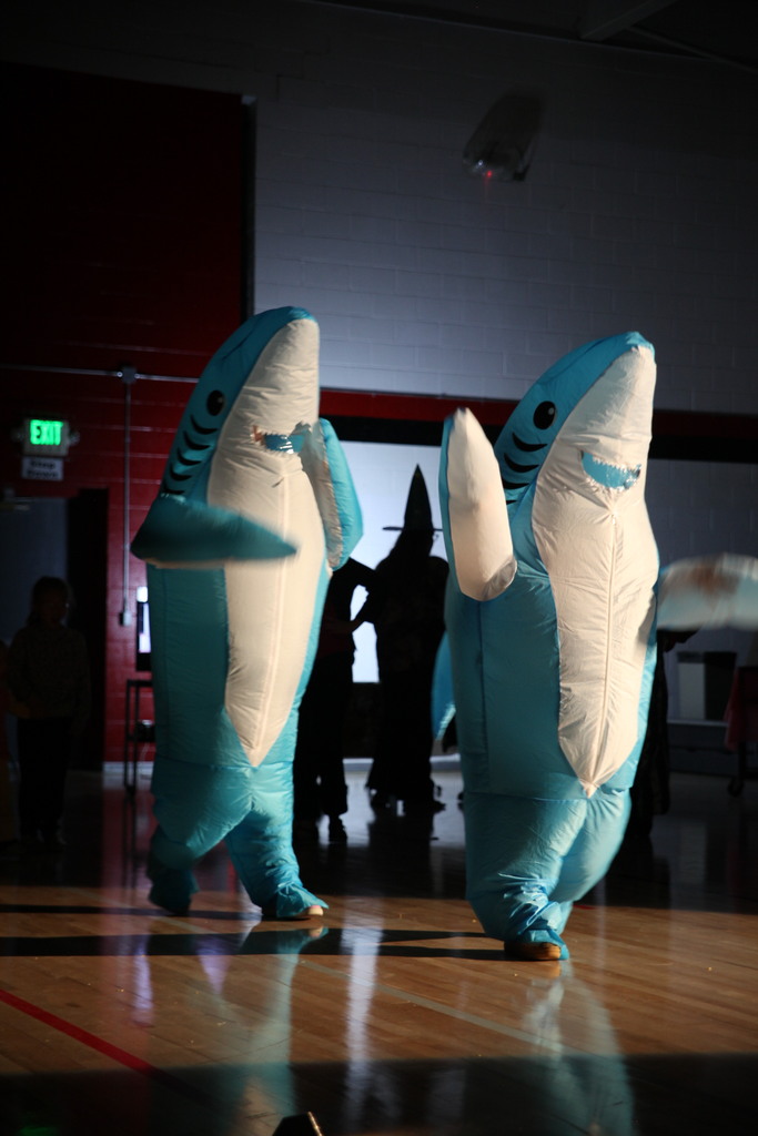 sharks