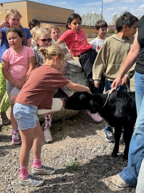 Students feeding bum calf