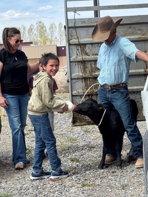 Students feeding bum calf