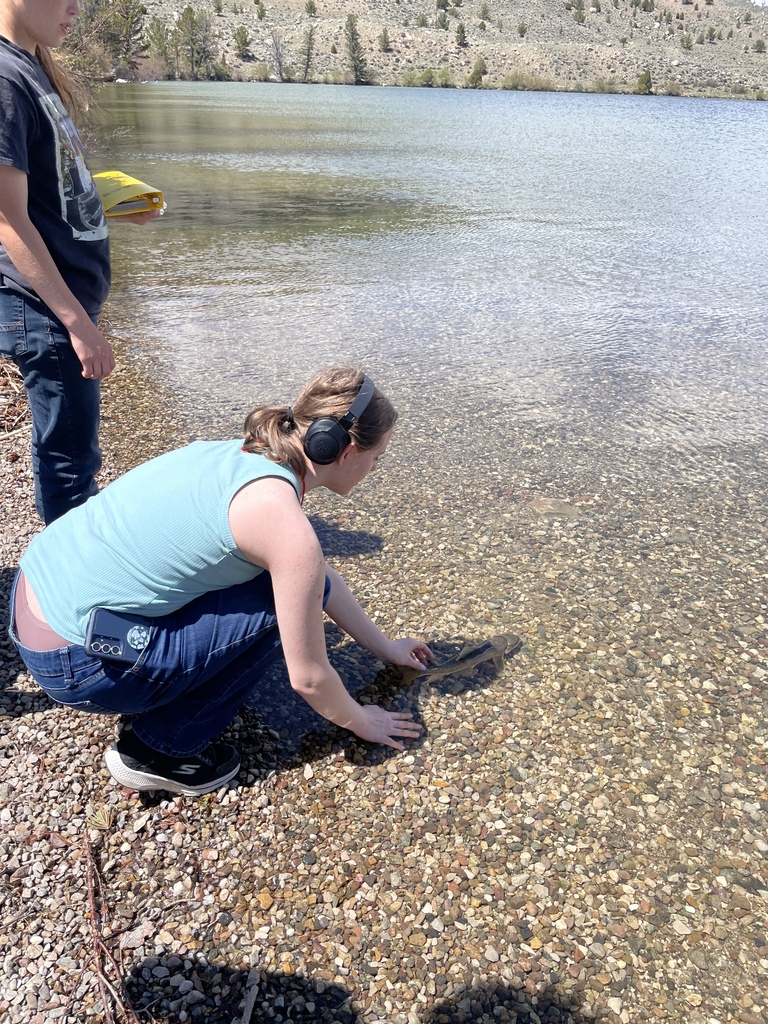 Fish Release