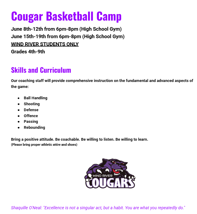 Cougar BB Camp Flyer
