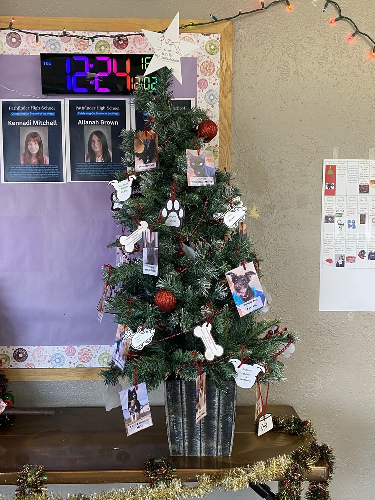 Pet Connection Angel Tree at PHS