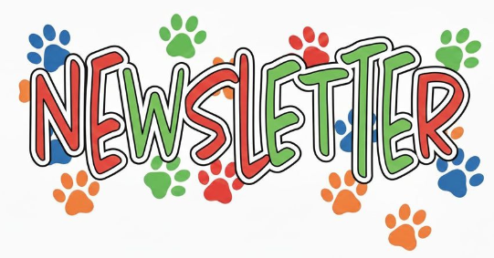 Newsletter