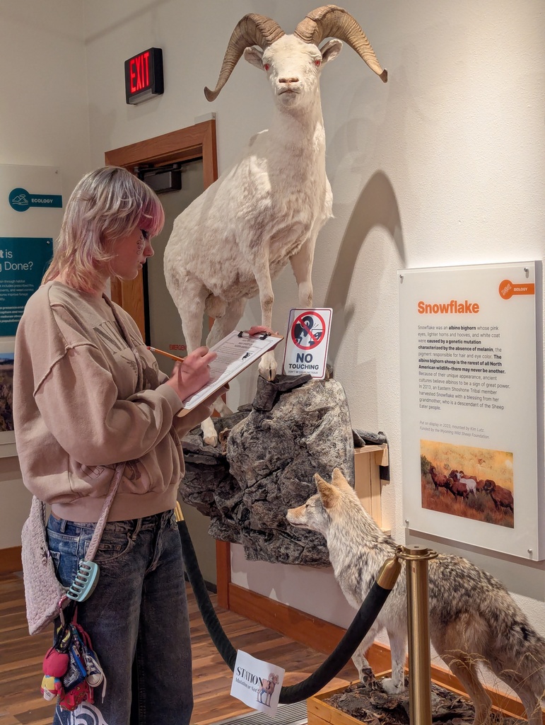FCD