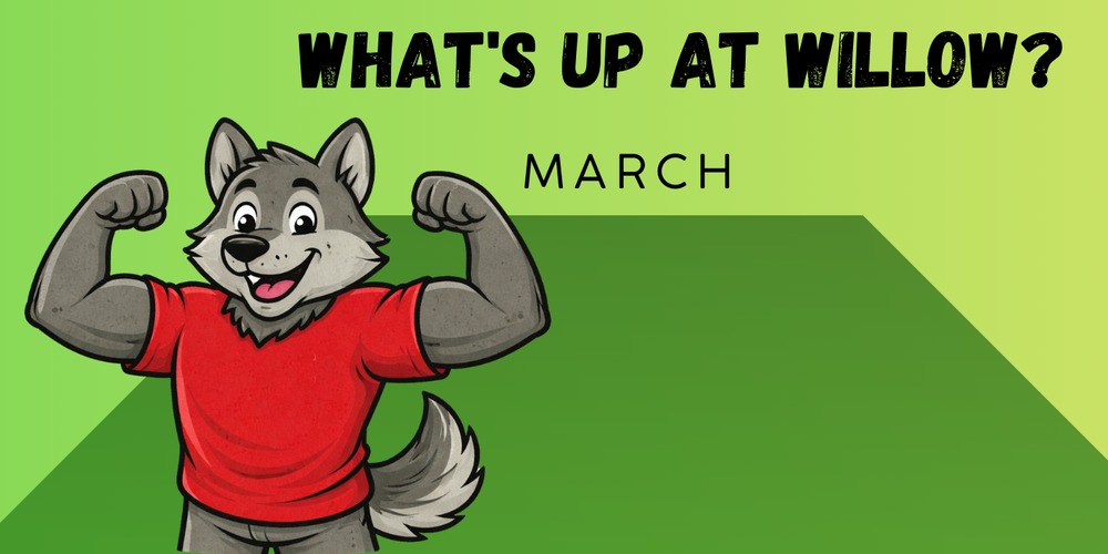 March What's Up At Willow 2026