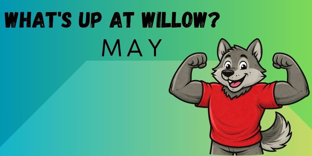 May 2026 What's Up At Willow?