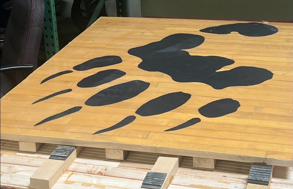 Paw