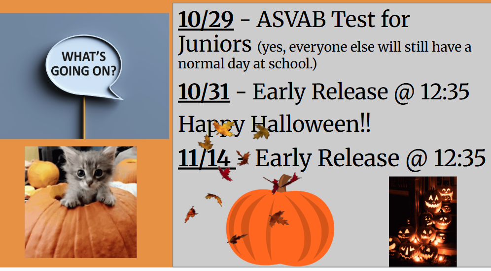 What's Going On At  RHS??