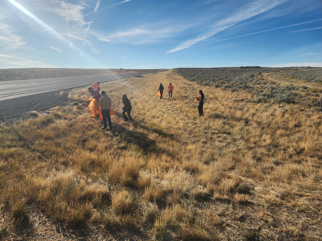 highway cleanup 