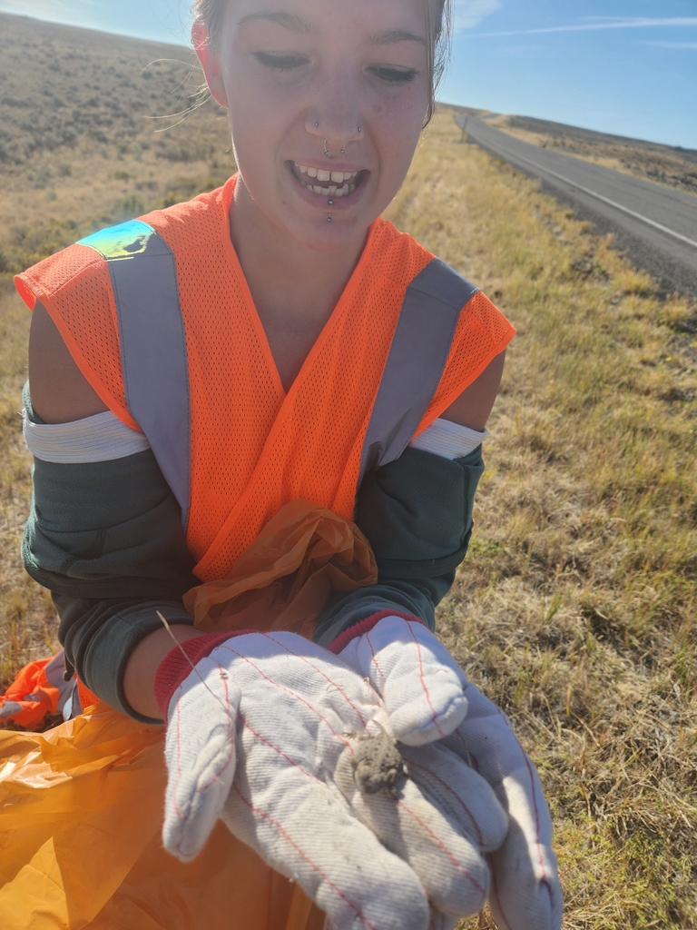 highway cleanup 