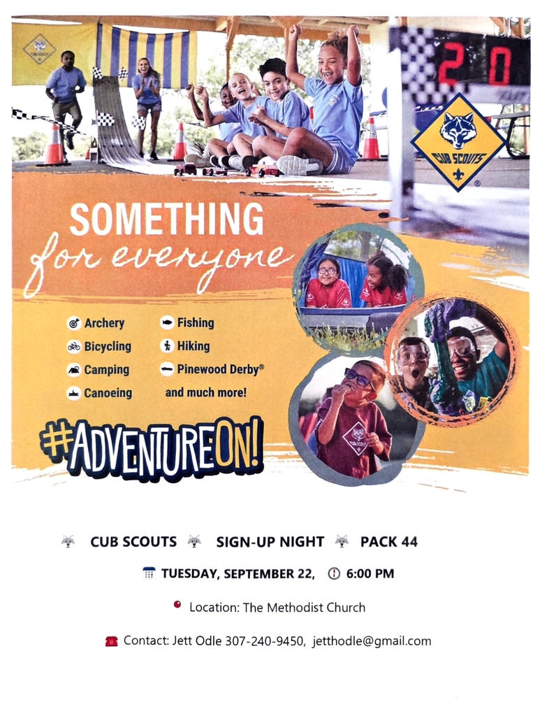 Cub Scouts