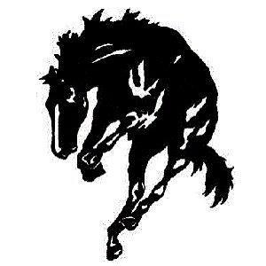 Bronc Logo