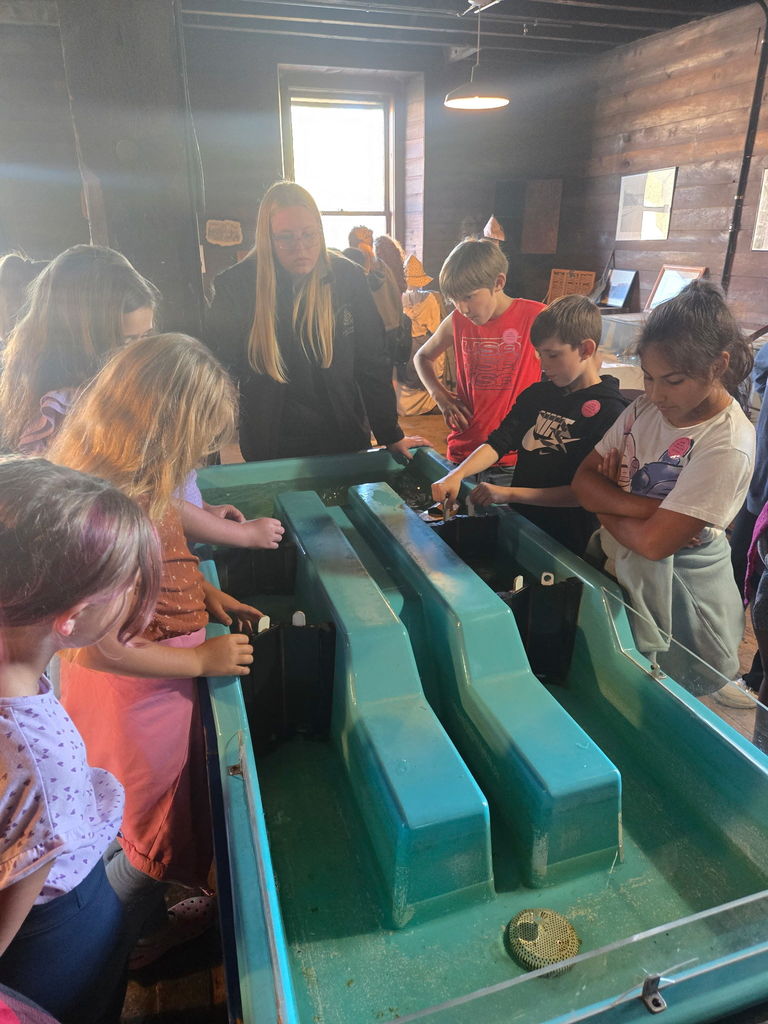 Learning how the locks work