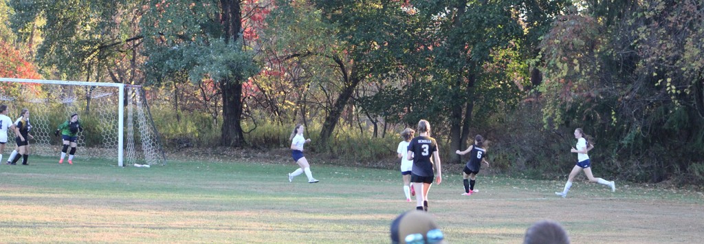 shot on goal