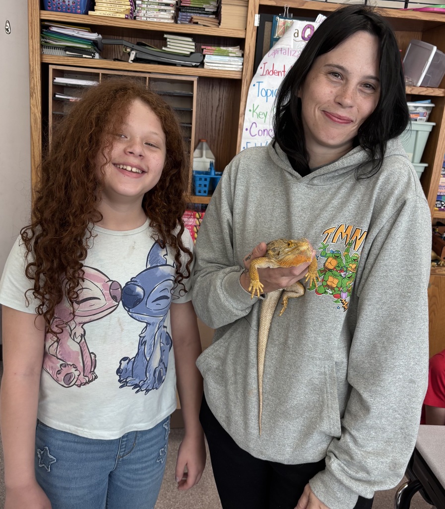Molly the bearded dragon!
