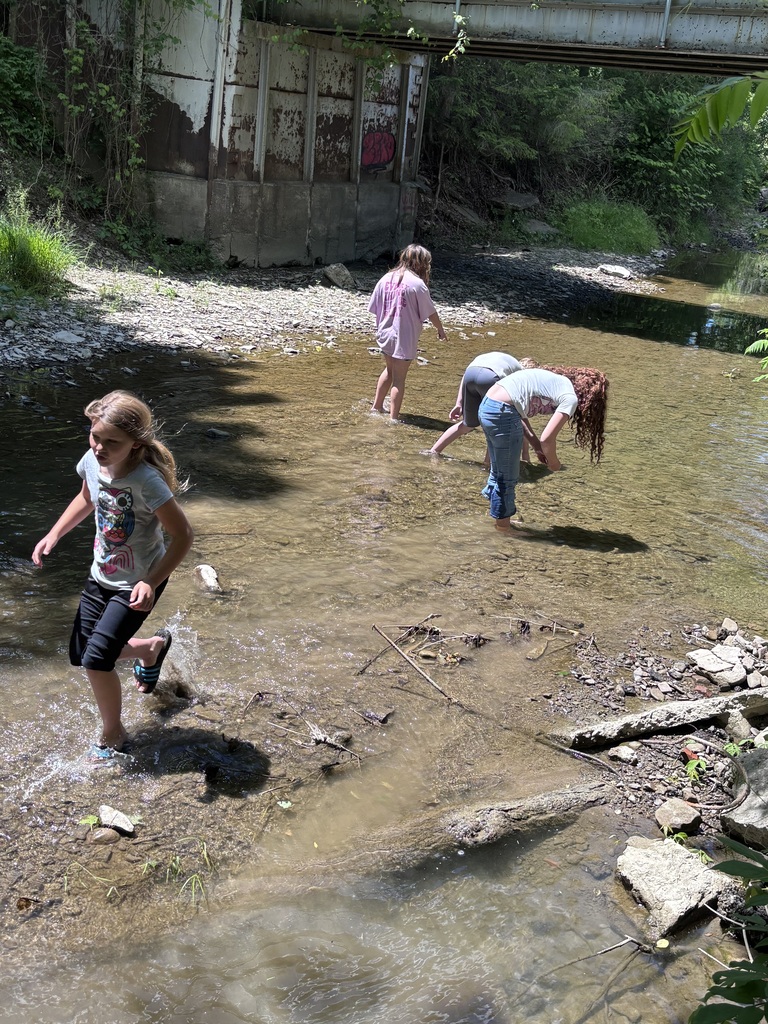 Exploring the creek!