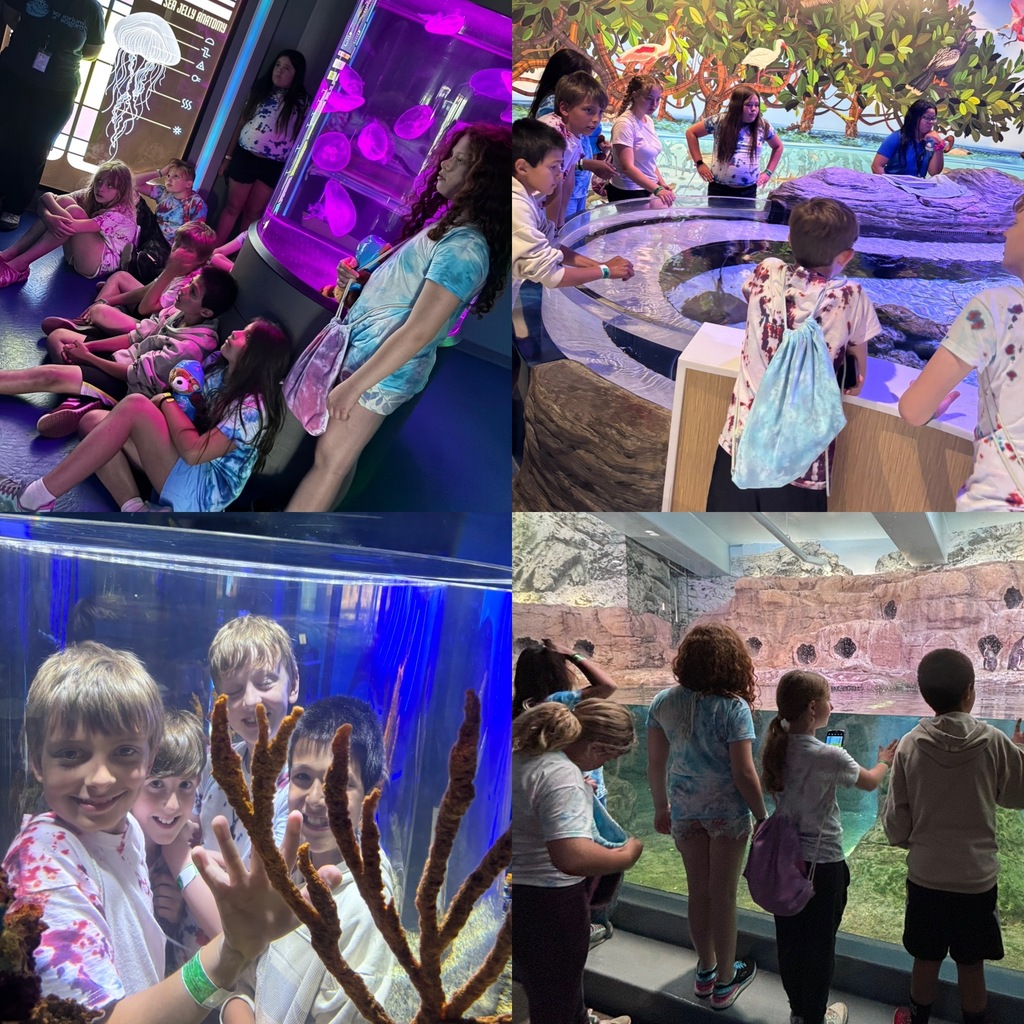 Aquarium time