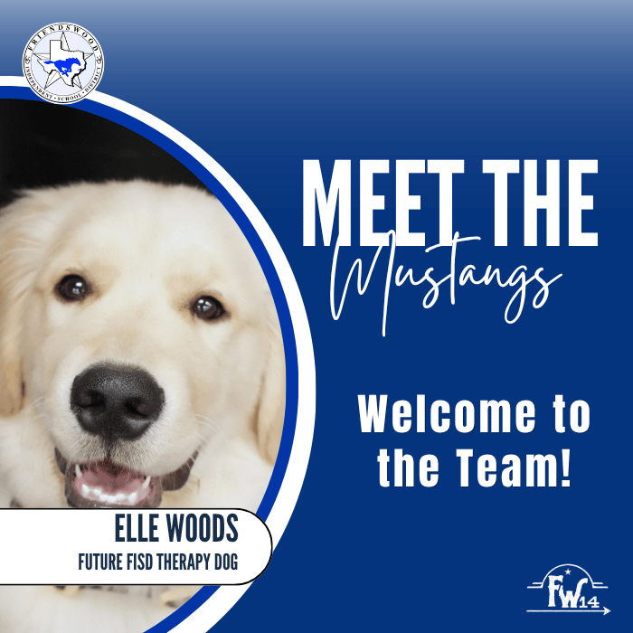 meet the mustangs 
