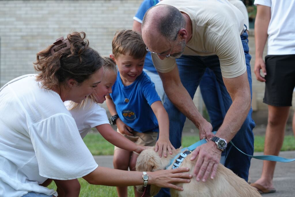 people petting a dog