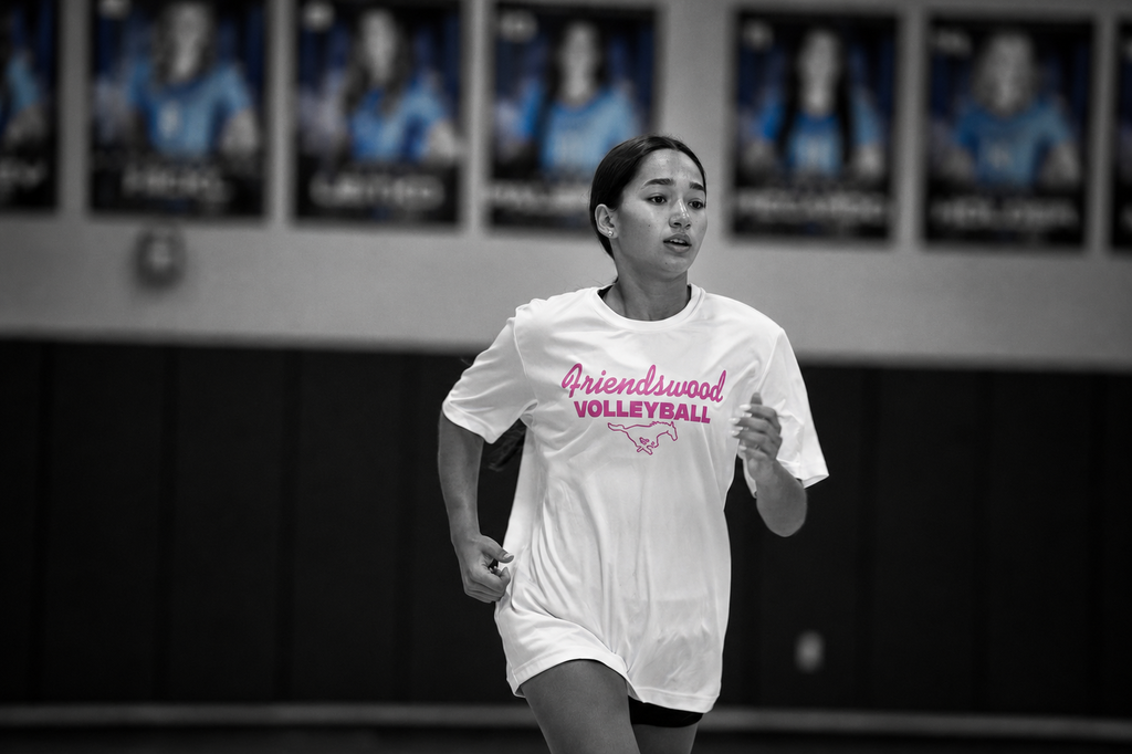 volleyball player