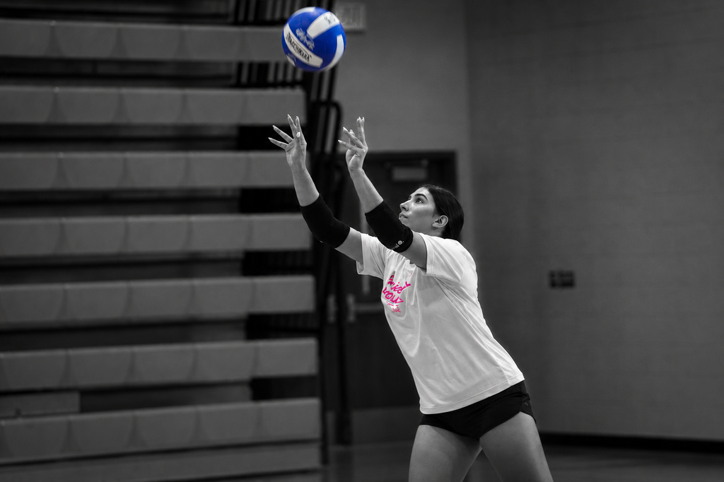 volleyball player