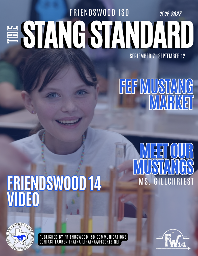 stang standard cover
