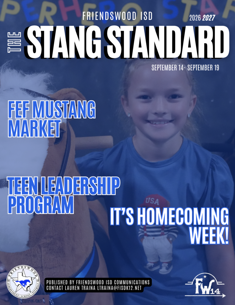 stang standard cover