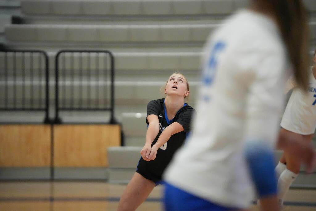 volleyball team
