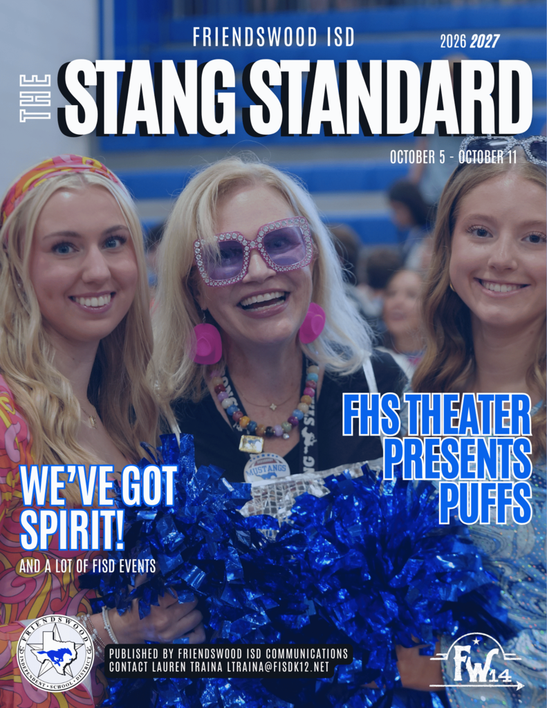 stang standard