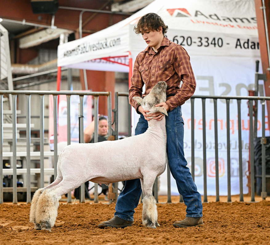 An FFA student and his animal