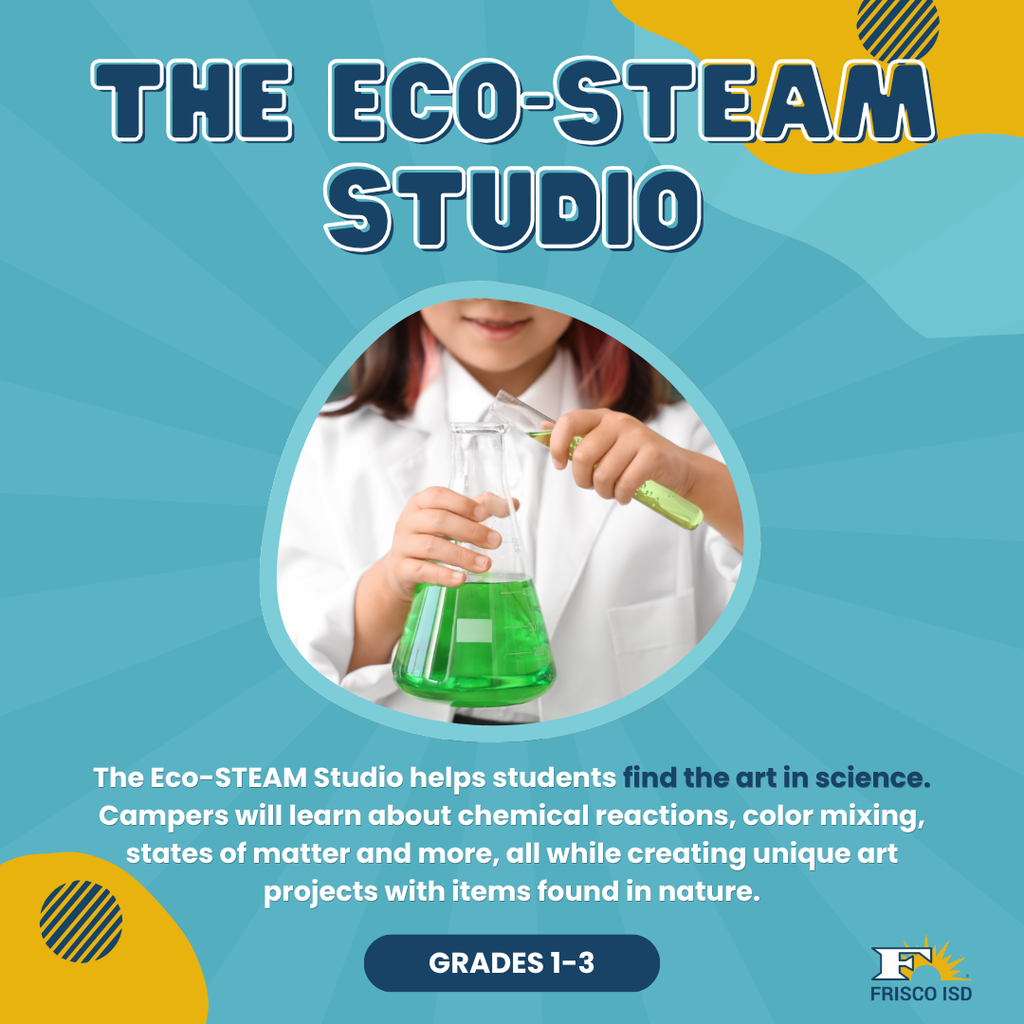 The Eco Steam Studio