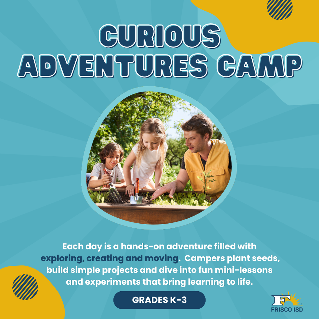 Curious adventures camp