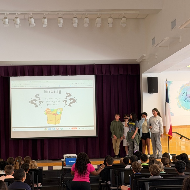 picture of students presenting