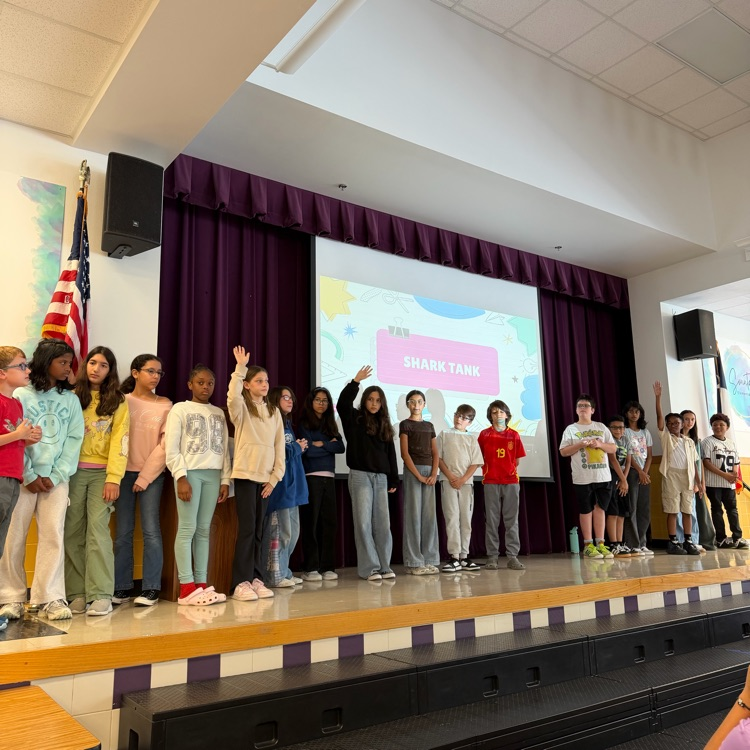 picture of students presenting