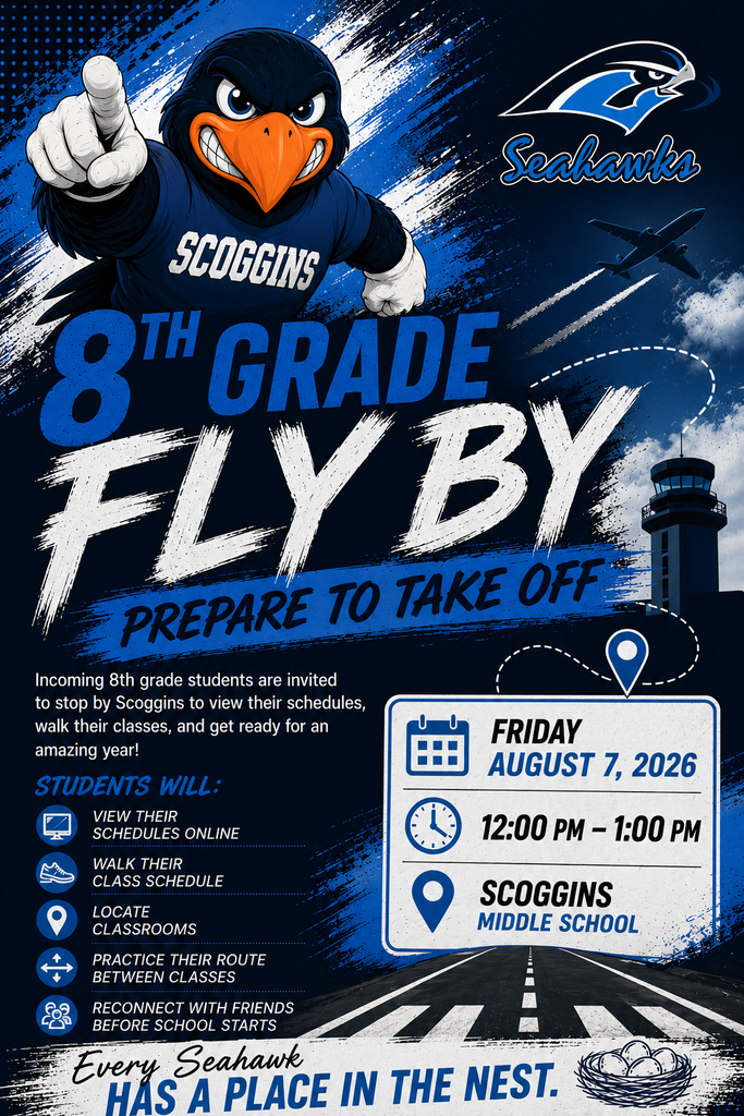 Fly By Flyer
