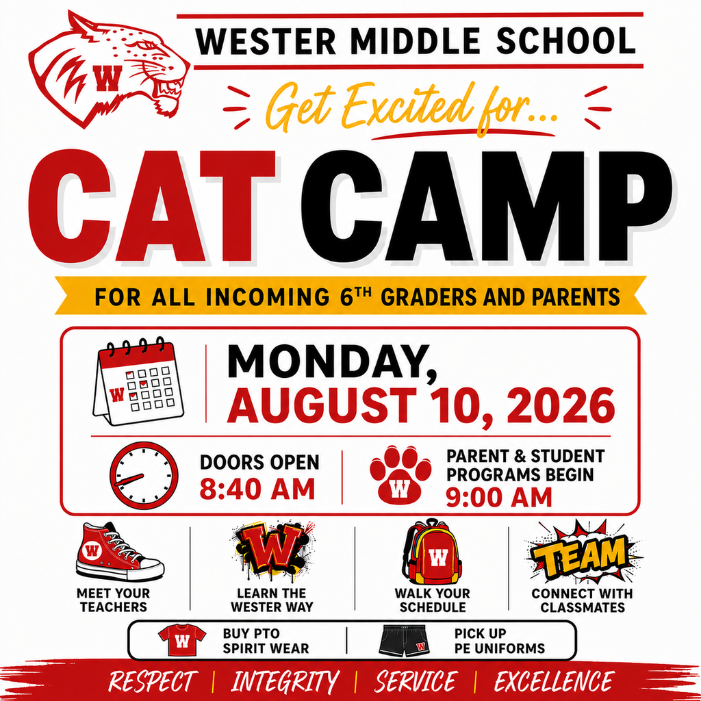 Cat Camp
