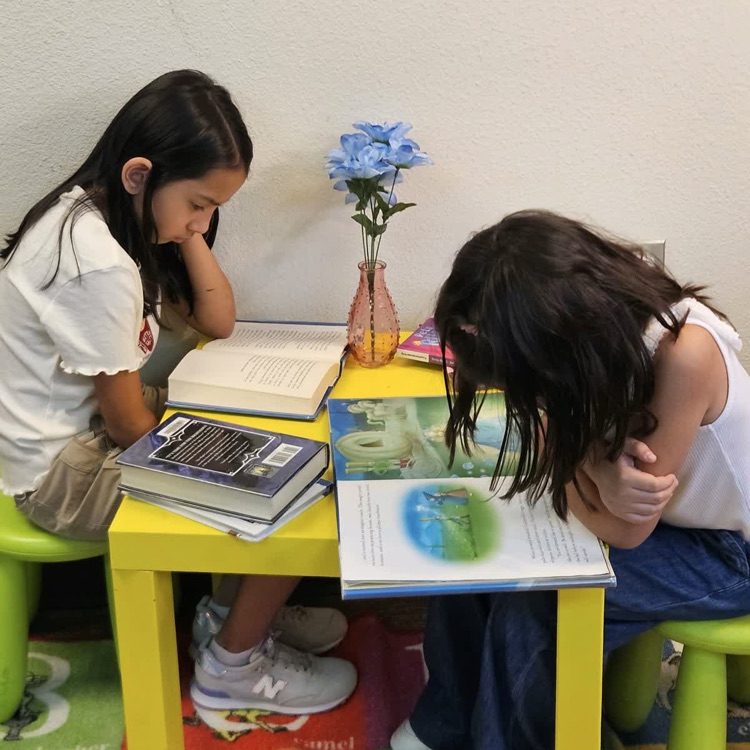 reading