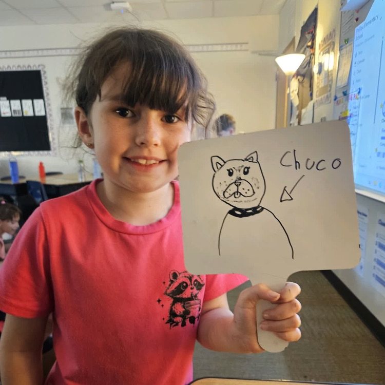whiteboard drawing of dog