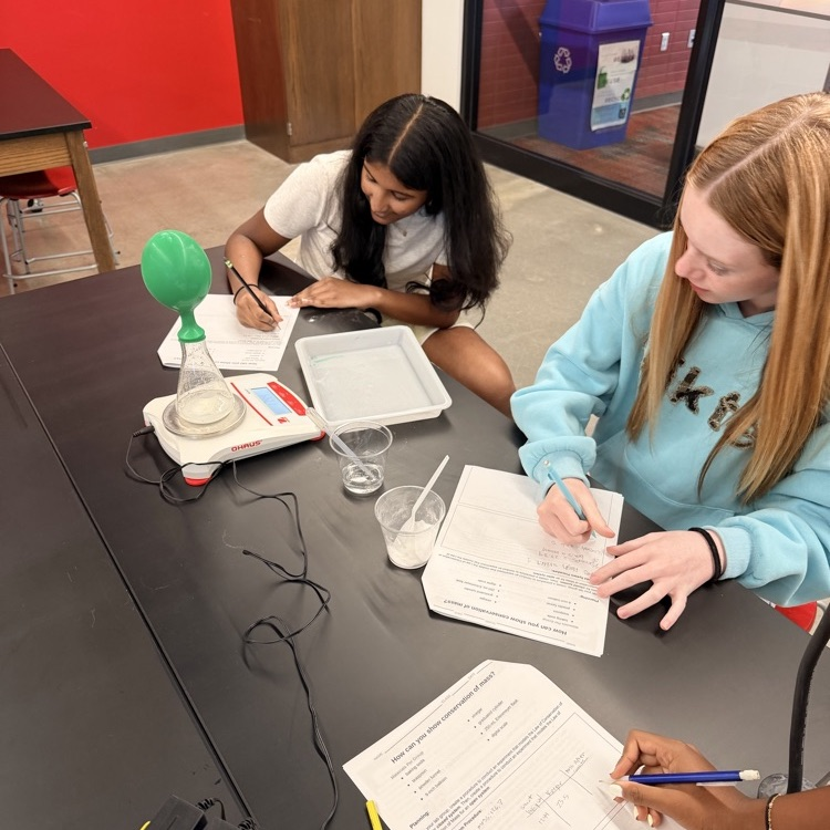 lab