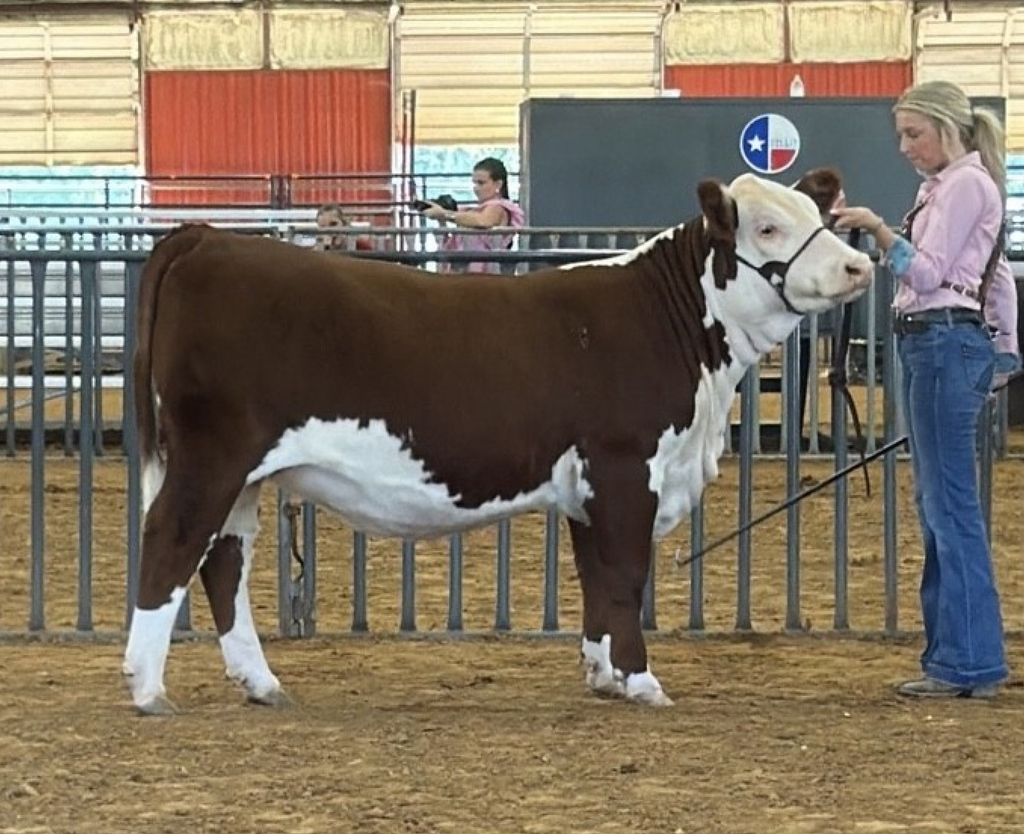 Christine with her steer