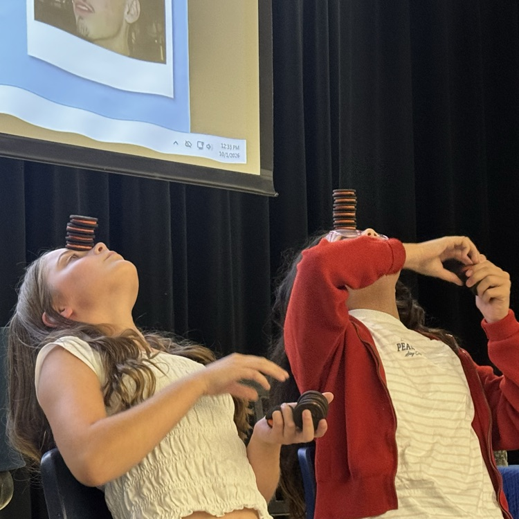 Seahawk buddies cookie challenge 