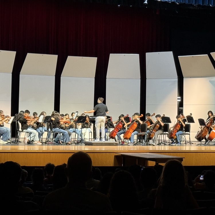 orch concert