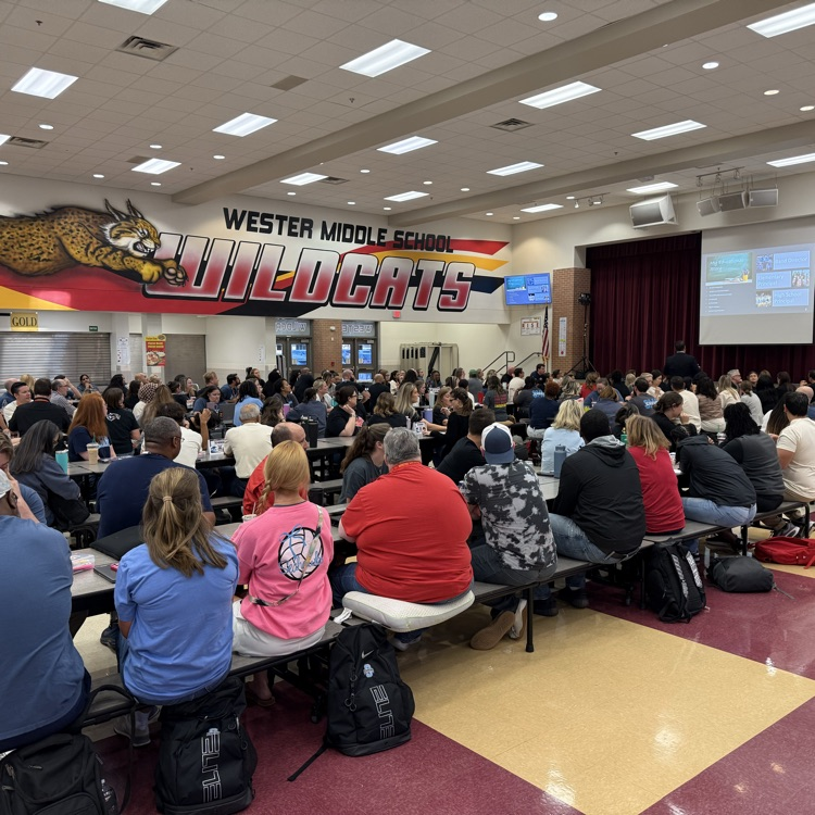 professional learning 