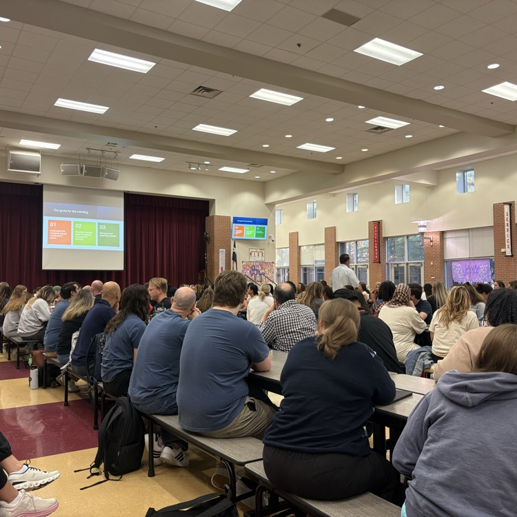 professional learning 